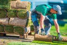 How to Determine Which Landscaping Contractor Is Right for You