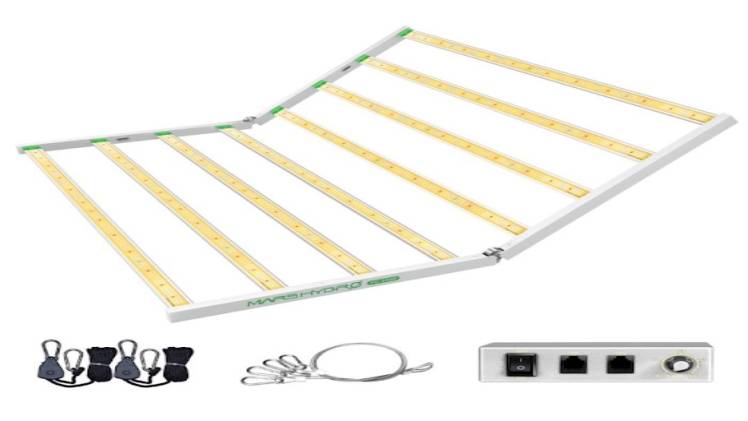 Key factors to consider before buying LED grow light