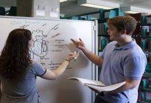 The Different Types of Assessment That Coursework Needs