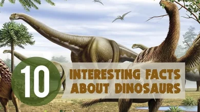 10 interesting facts about dinosaurs 1