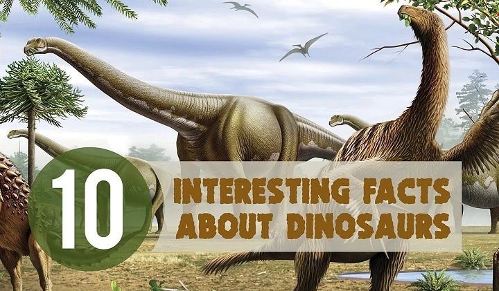 10 interesting facts about dinosaurs 1