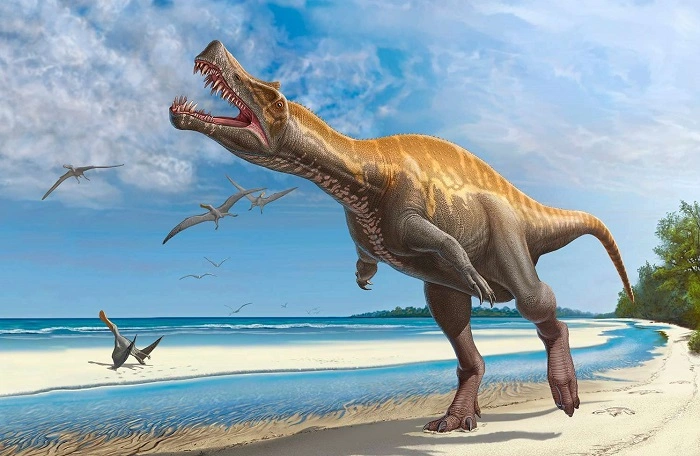 10 interesting facts about dinosaurs 4