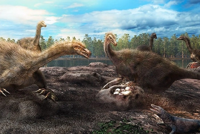 10 interesting facts about dinosaurs 6