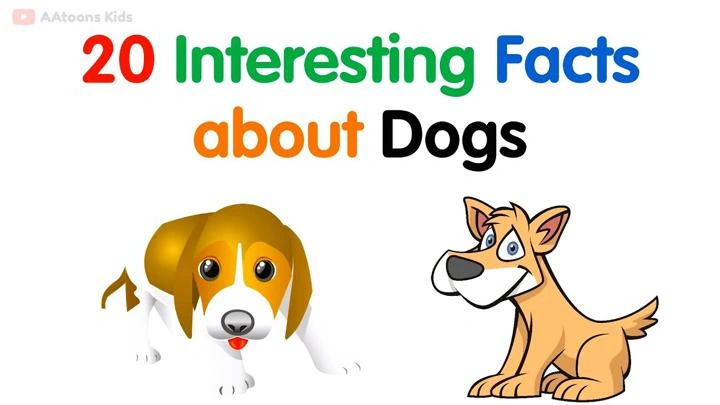 20 interesting facts about dogs