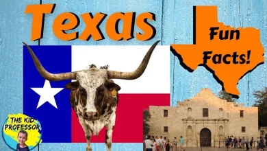 Facts About Texas