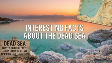 facts about the dead sea 1