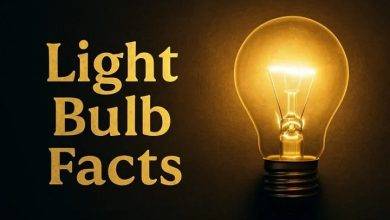 fun facts about light bulbs