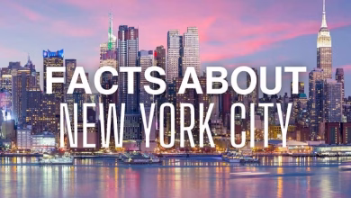 fun facts about new york