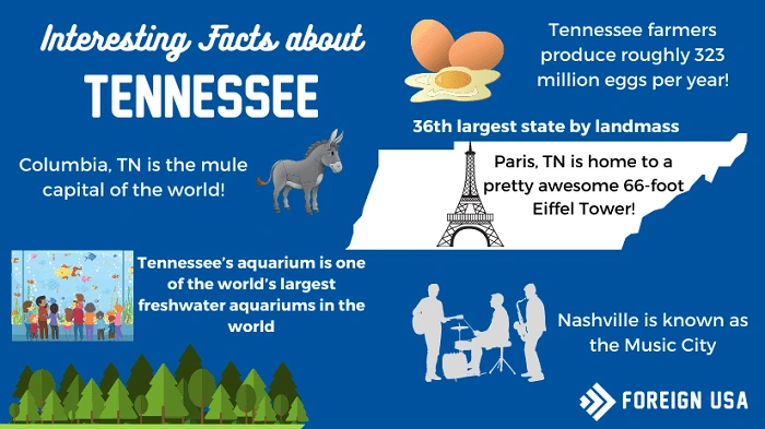 fun facts about tennessee 3