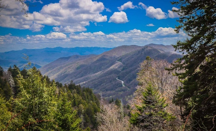 fun facts about tennessee 5