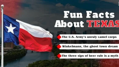 fun facts about texas