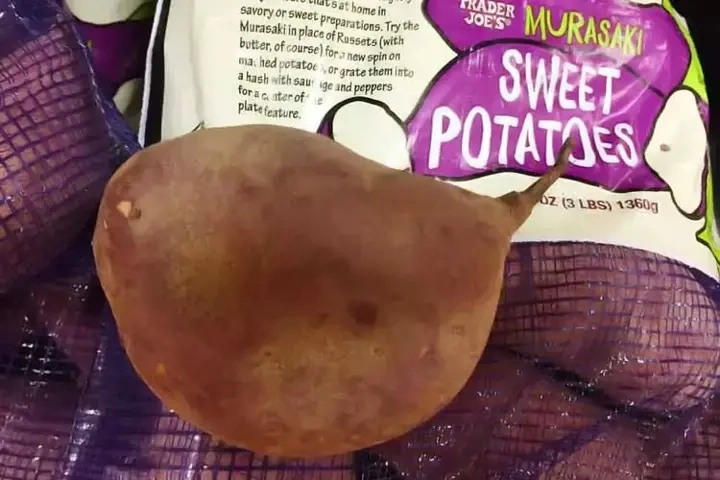 japanese sweet potato nutrition facts