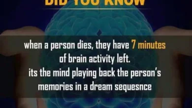 psychology facts about human behavior