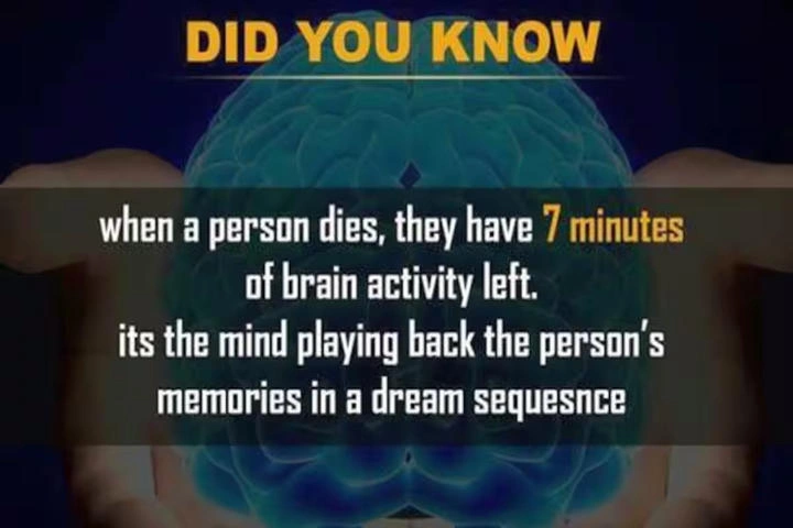 psychology facts about human behavior