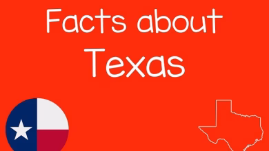 texas fun facts