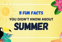 facts about summer 1
