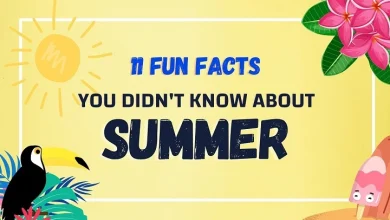 facts about summer 1
