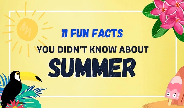 facts about summer 1