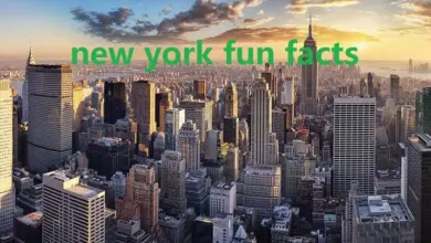 new york fun facts