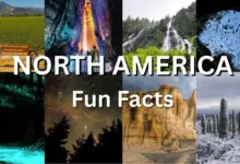 Fun Facts About North America
