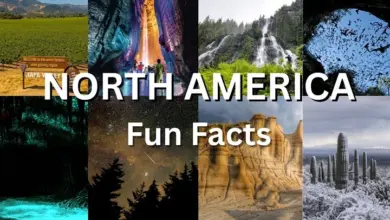 Fun Facts About North America