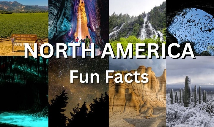 Fun Facts About North America