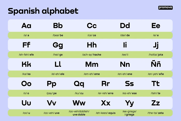 Spanish Usually Pronounces Words Quite Predictably