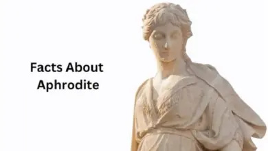 fun facts about aphrodite