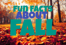 fun facts about fall