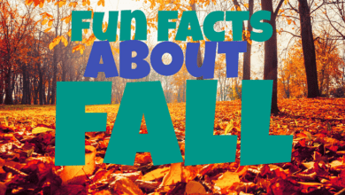 fun facts about fall