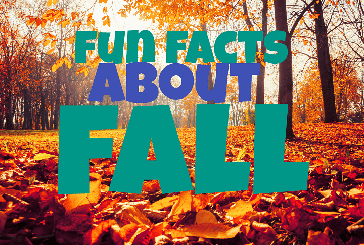 fun facts about fall