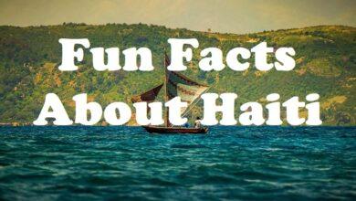 fun facts about haiti