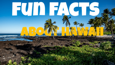 fun facts about hawaii