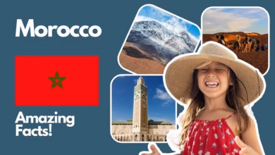 fun facts about morocco