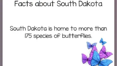 fun facts about south dakota