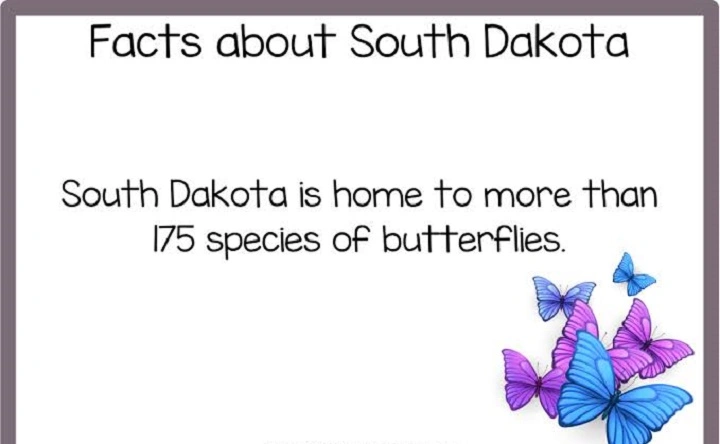 fun facts about south dakota