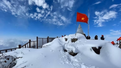 fun facts about vietnam