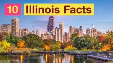 illinois fun facts 1